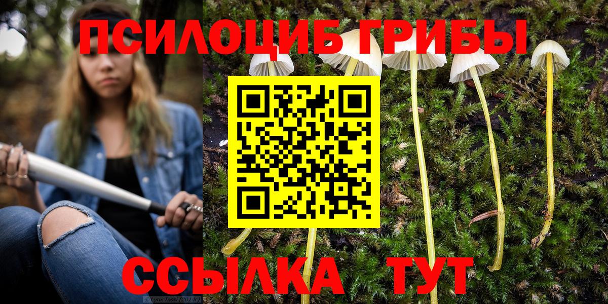 Галлюциногенные грибы Psilocybine cubensis Благовещенск